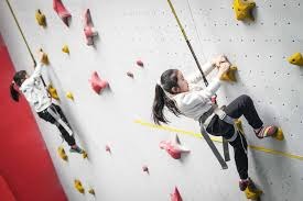 Stein：外界预期特雷·杨将会执行下赛季4900万球员选项